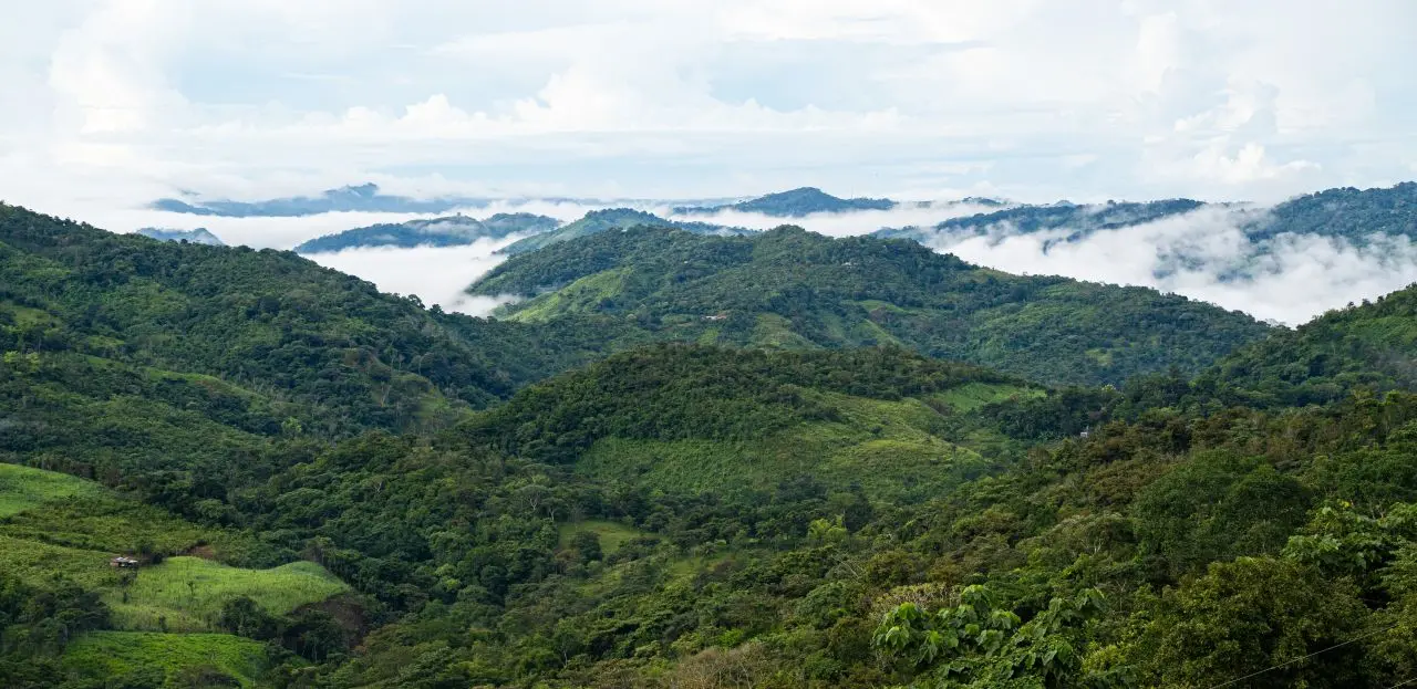 La selva del Darién