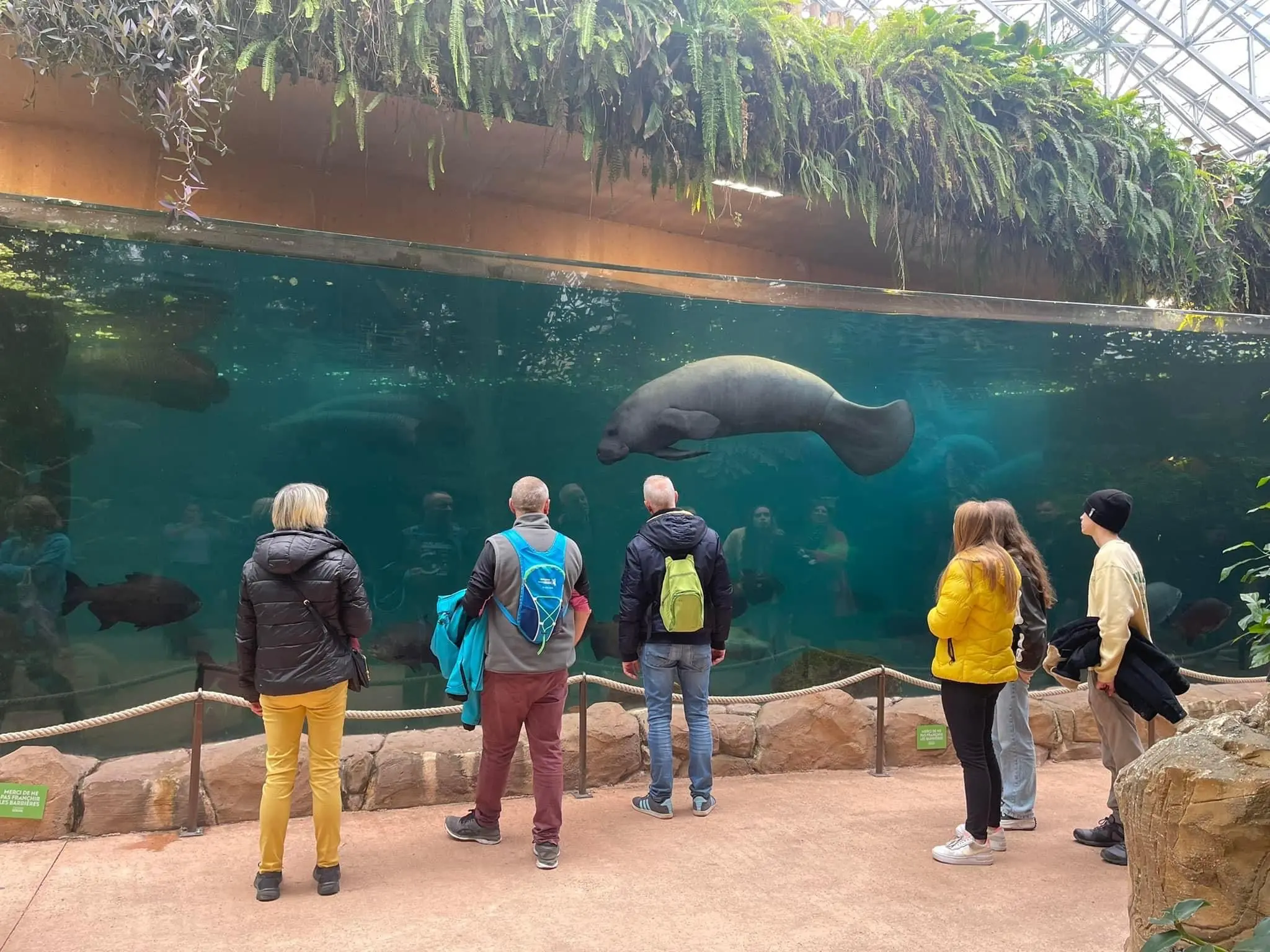 WAZA Council and EAZA Directors days meetings at Beauval zoo