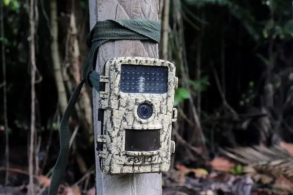 Camara trampa instalada