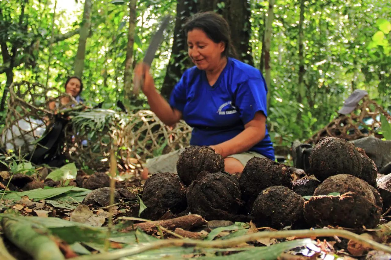 Los pueblos indígenas conrtibuyen a la defensa de la naturaleza.