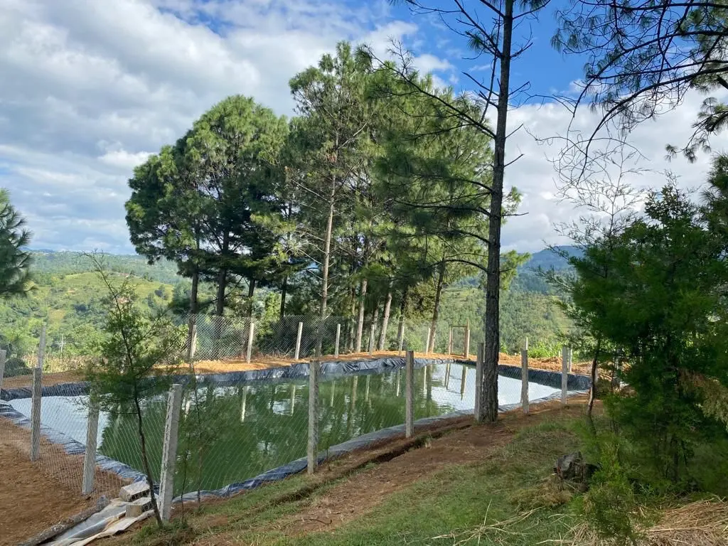 Parcelas demostrativas para el manejo de agua y suelo en Santa María Chiquimula, Totonicapán, Guatemala