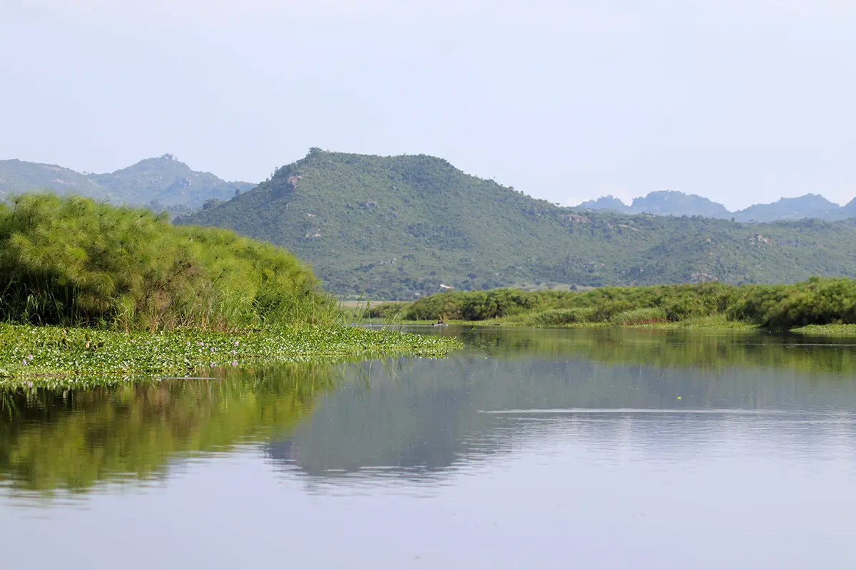 Few ecosystems are well monitored, and their ecological status unknown. Mara River, Tanzania.