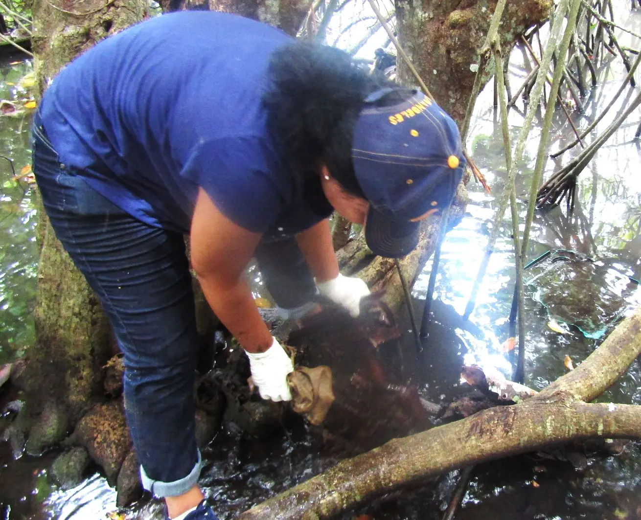 TNYC's project site in Ano Hehea.