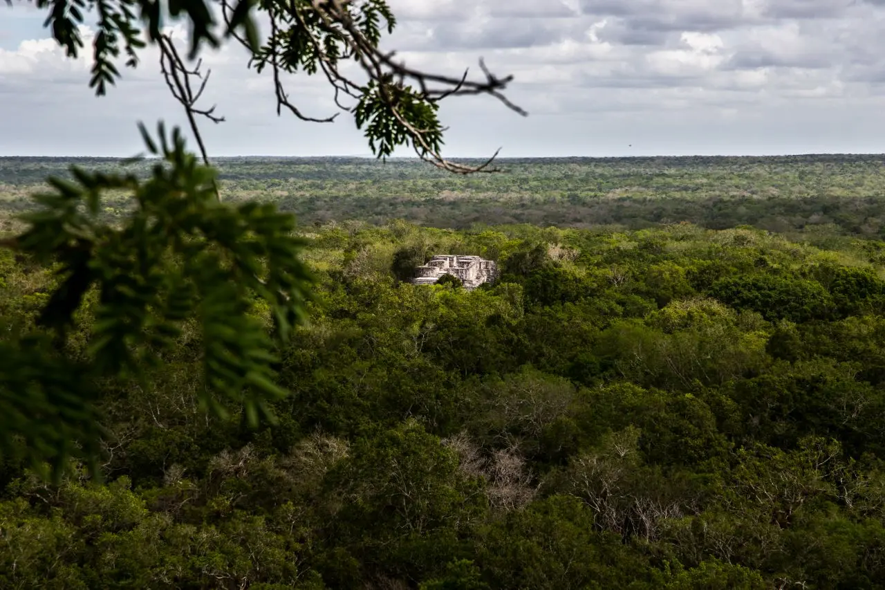 Selva Maya