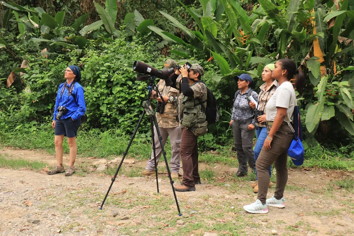 Observación y conteo de aves en el Parque Nacional Omoa, con participantes de América Central y República Dominicana. 