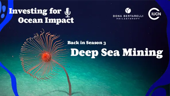 Investing for Ocean Impact, Season 3 miniseries - DEEP SEA MINING
