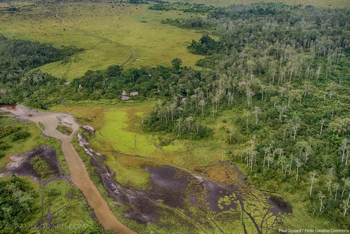 Congo forest aerial