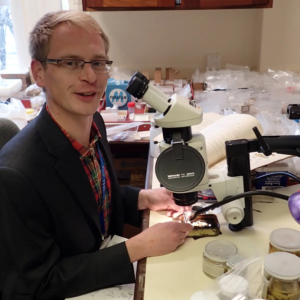 Ben Rowson dissecting slugs at the National Museum of Wales