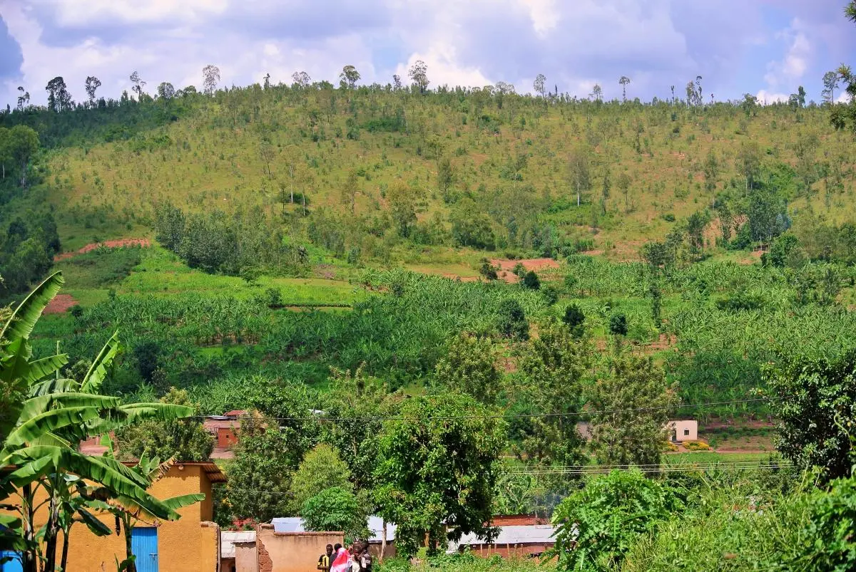 Rwanda Forest Landscape Restoration