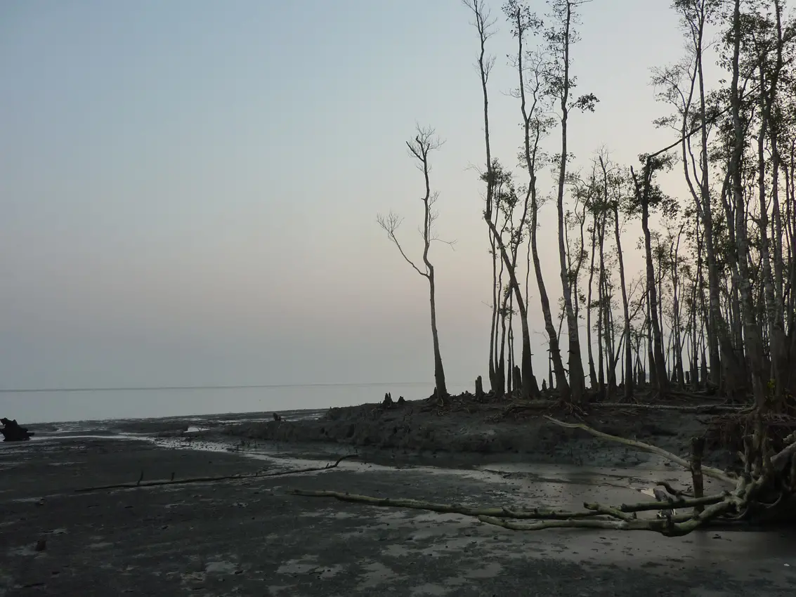 The Sundarbans, Bangladesh, World Heritage site