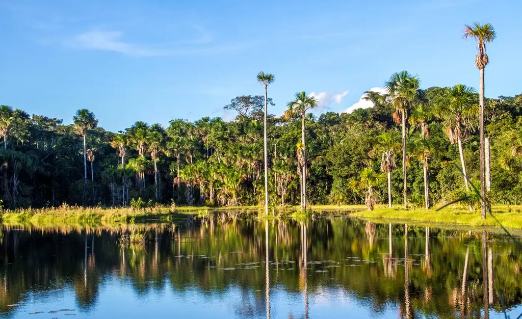 Reserva Nacional de Vida Silvestre Amazónica Manuripi-Bolivia