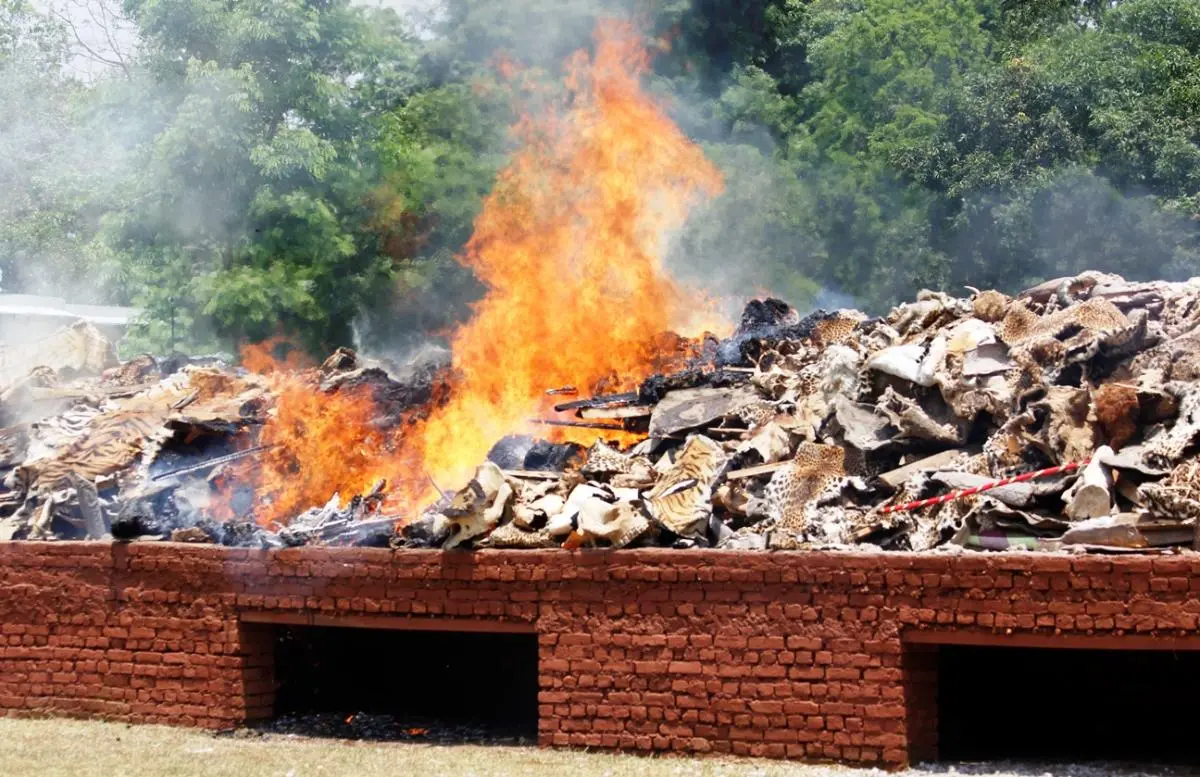 Destroy of Wildlife Stockpiles