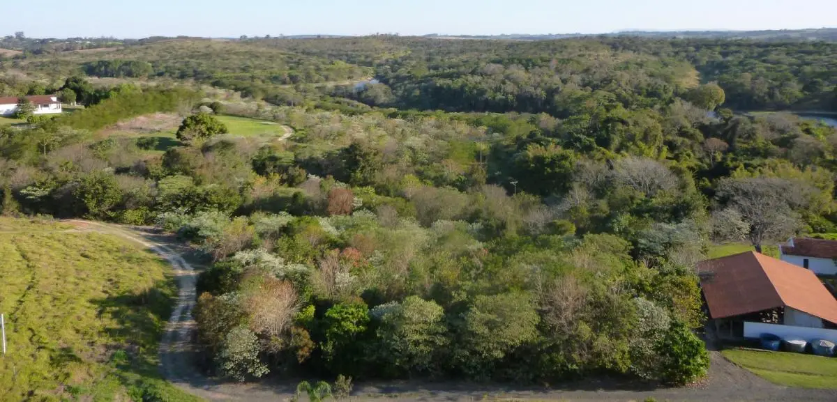 A 300-ha, 6-year-old site in the Atlantic forest of Brazil restored by planting >60 species of trees.