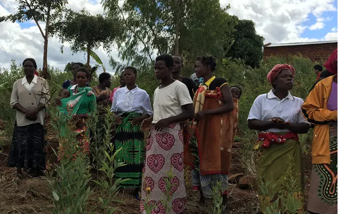 Women in Malawi standing in field