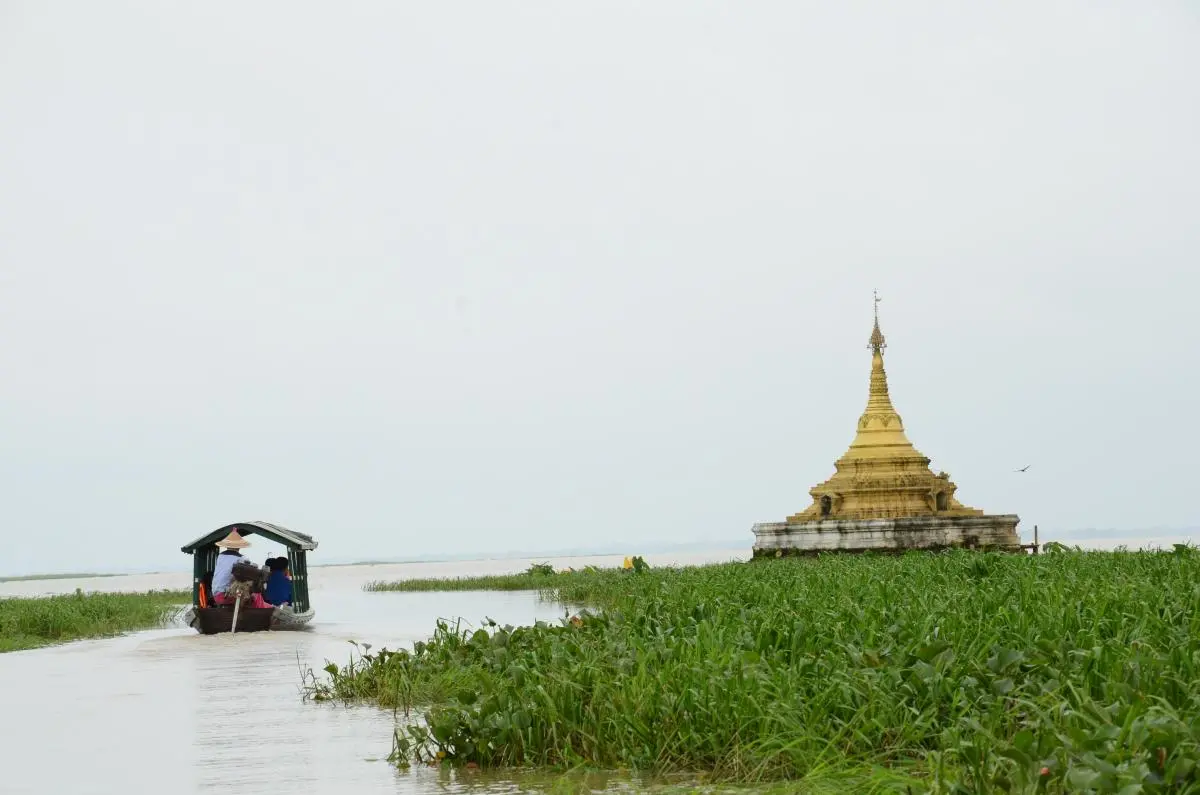 A small boat moves through a canal near a small, gold pagoda among wetland vegetation