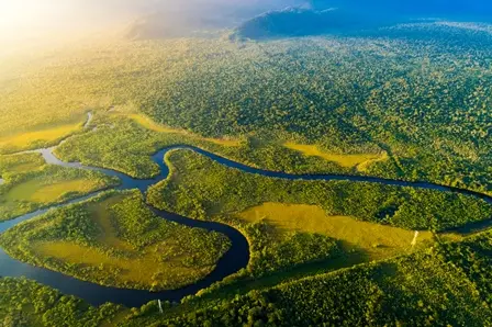 Aerial view of Brazilian rainforest