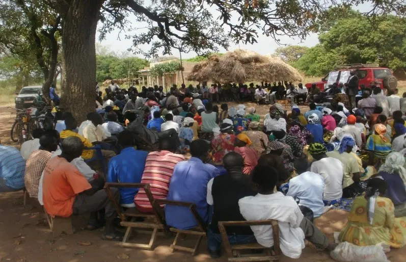 large group of people sitting outside and with back facing viewer