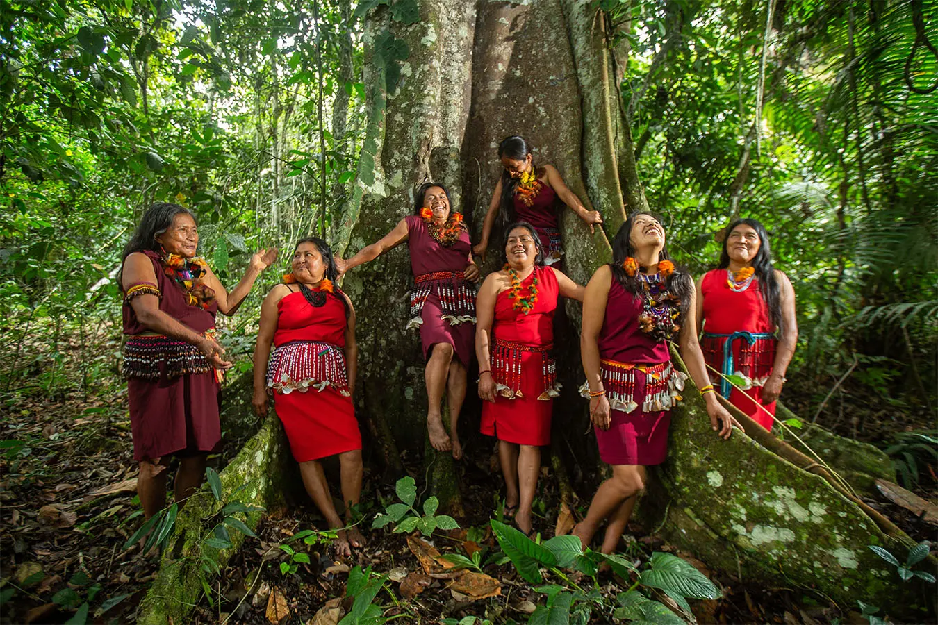 Women in Peru's Nuwas Forest are an important part of forestry conservation