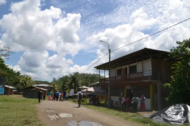 Conservación, reactivación económica y el COVID-19 en Comunidades Indígenas Amazónicas Peruanas