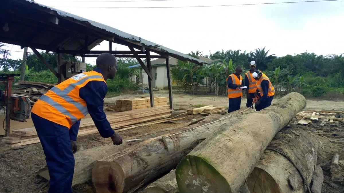 Policy action promotes alternatives to illegal logging in Ghana