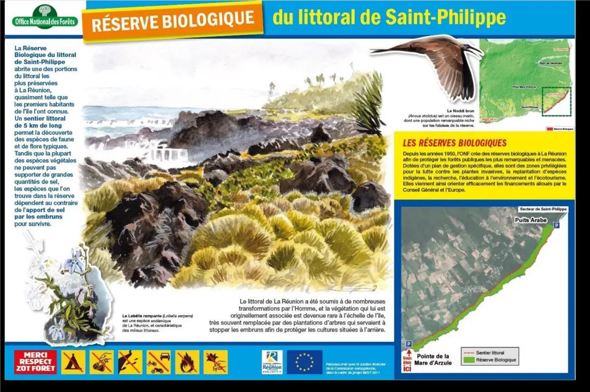 Réserve Biologique du littoral de Saint-Philippe