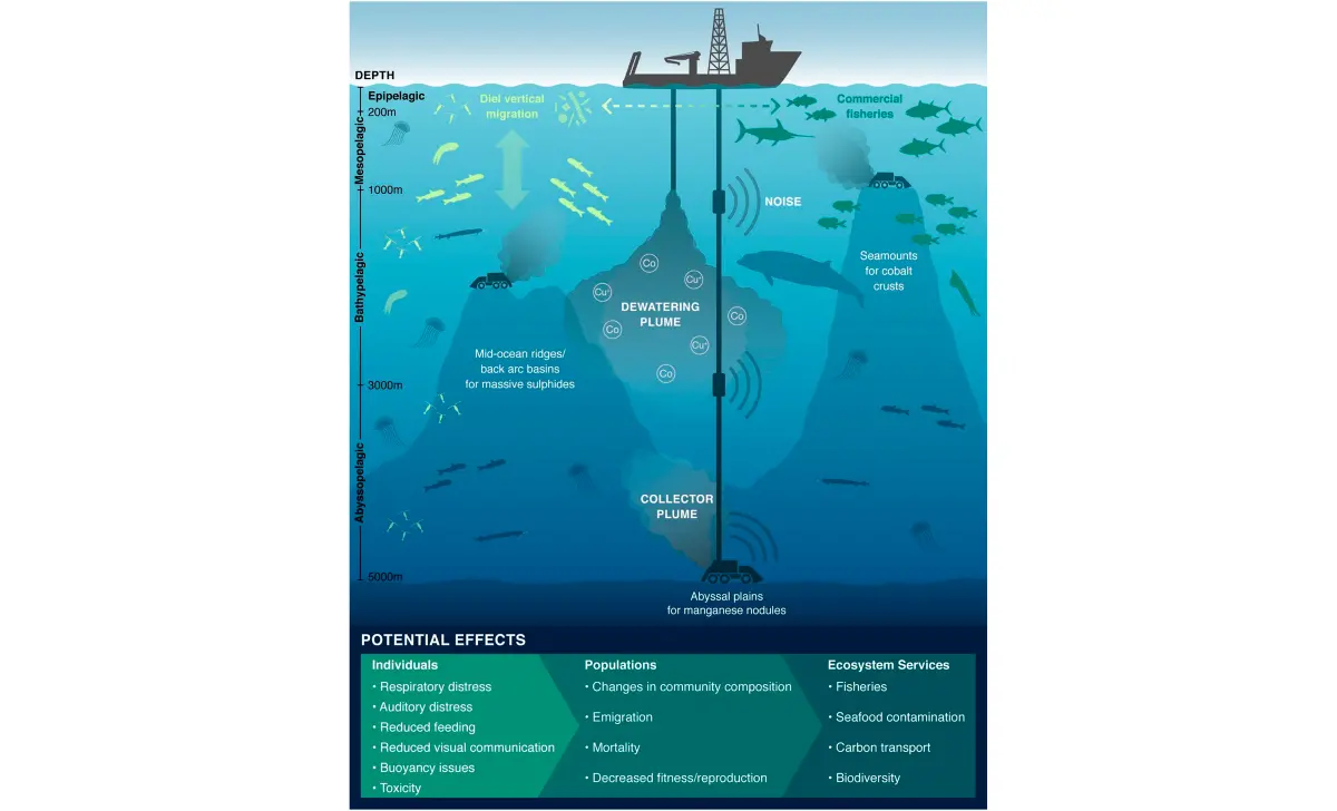 Graphic: Seabed mining effects on water column