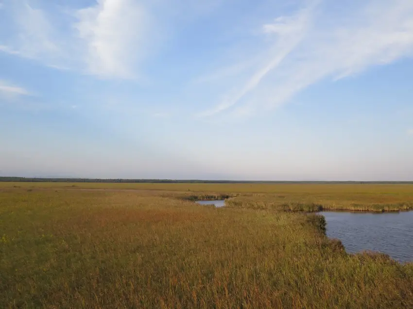 World Heritage site, mires peatland Georgia