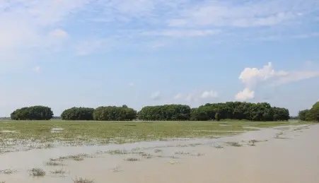 Moeyungyi-Wetland-Wildlfie-Santuary