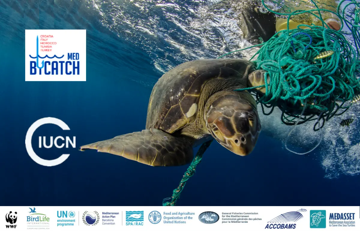 bycatch international meeting malaga iucn