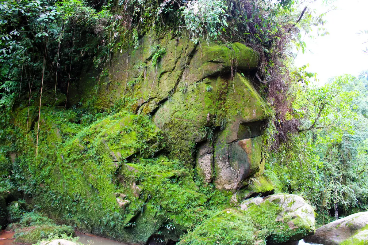 Reserva Comunitaria Amarakaeri, Perú