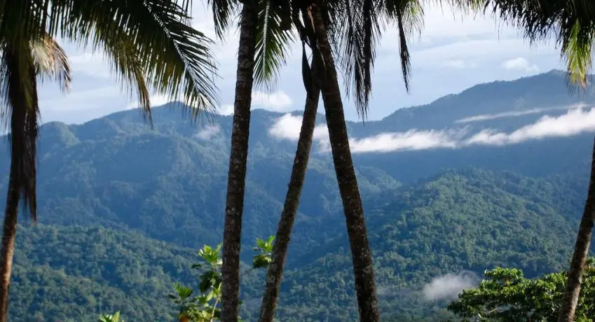 Torricelli Mountain Range in Papua New Guinea