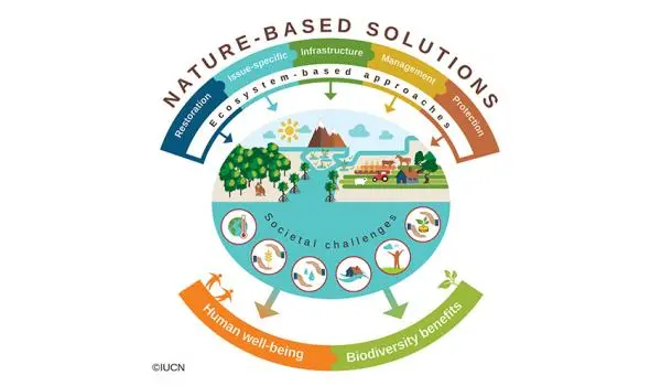 Nature based solutions