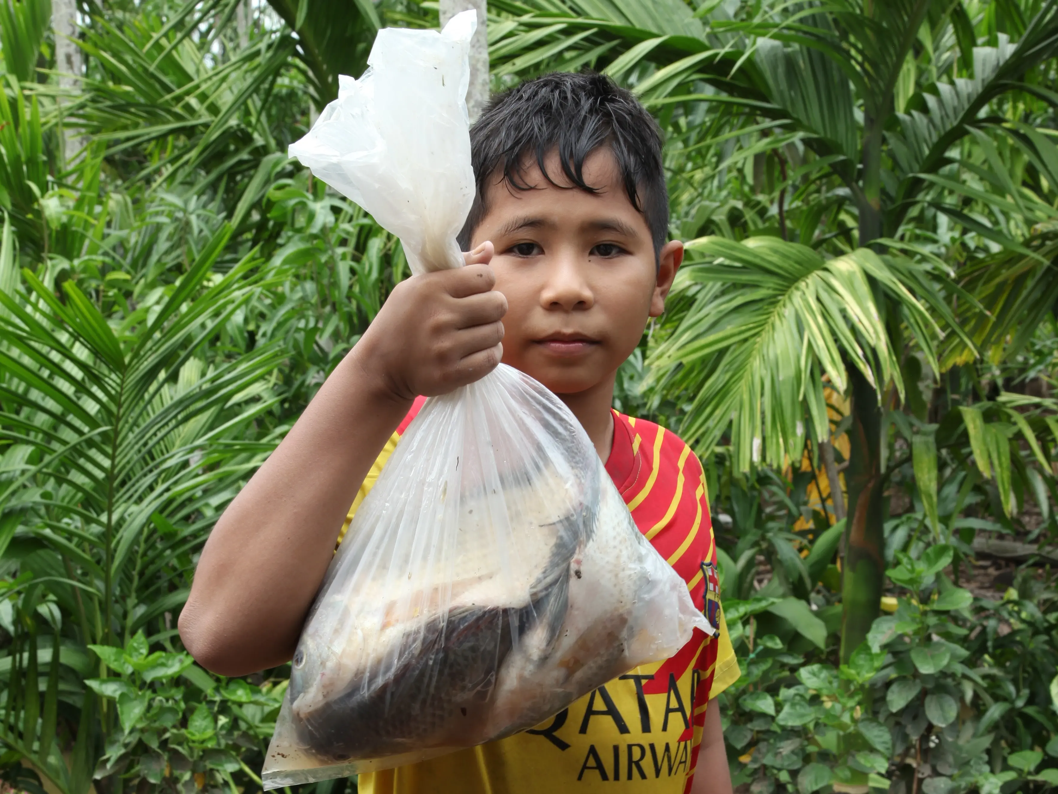 A boy holds up a plastic bag full of fish