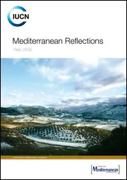Mediterranean Reflections 2008