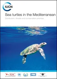 Sea turtles in the Mediterranean