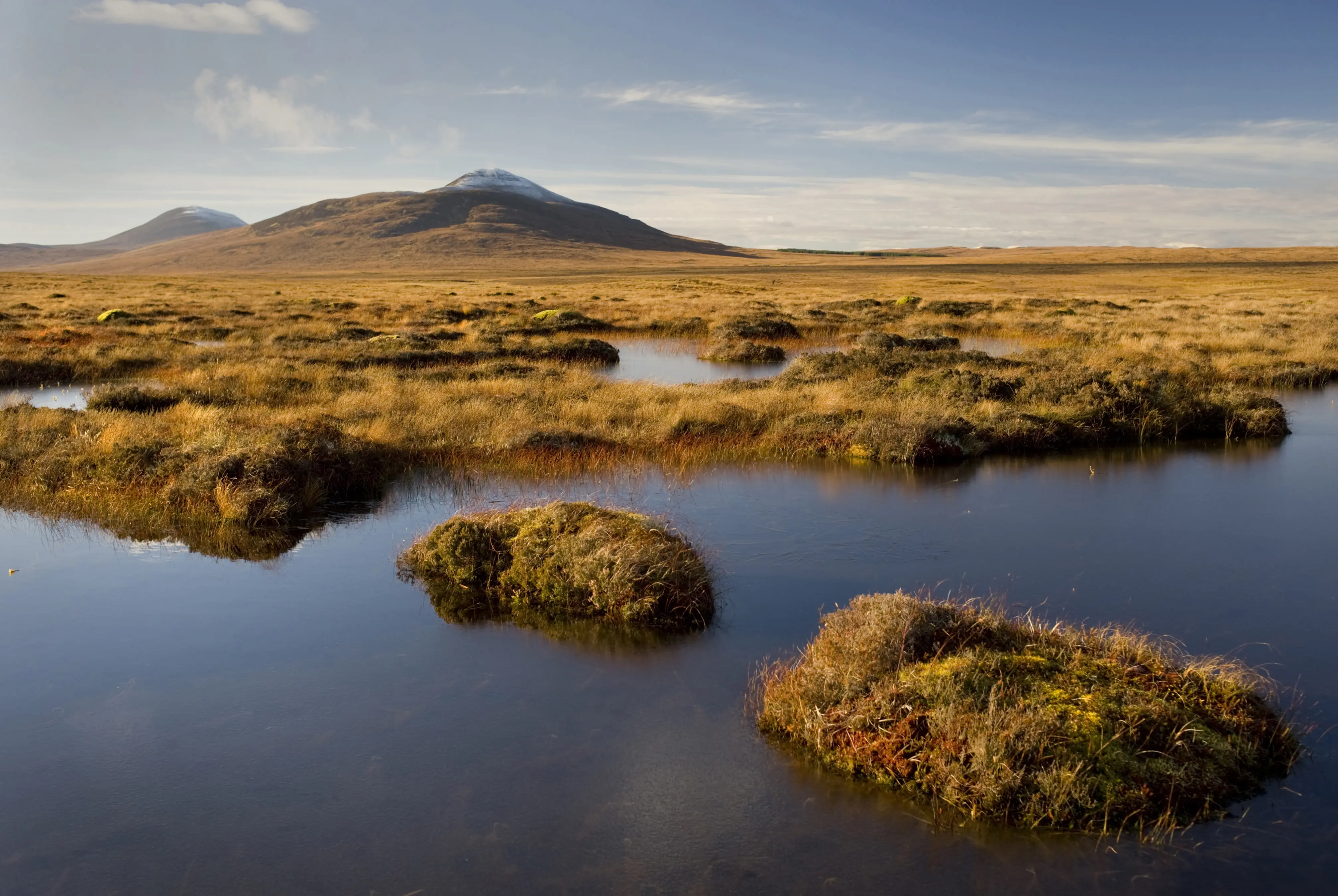 Blanket bog of the Flow Country, Forsinard