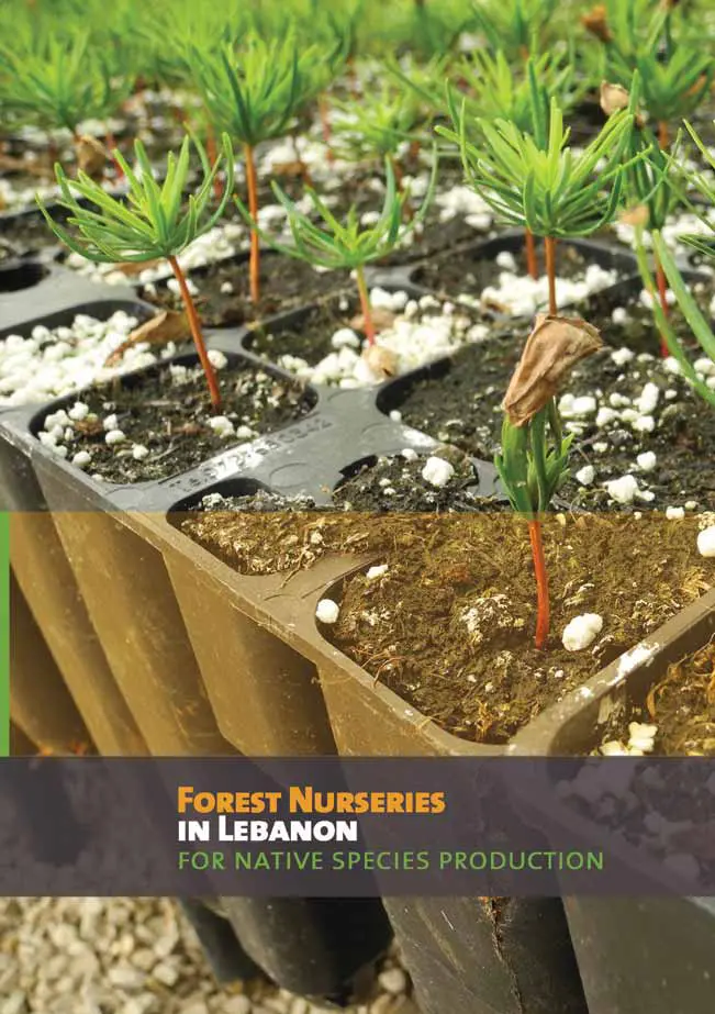 Forest Nurseries in Lebanon by Navarrete Poyatos, M.A., Navarro Cerrillo, R., Palacios Rodríguez, G., Chnais, E. and Salman, H. (2011).