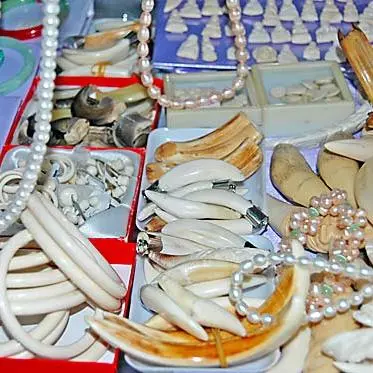 Ivory on sale in Viet Nam