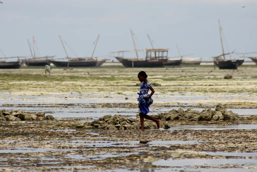 Low tide in Zanzibar