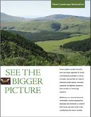 Forest Landscape Restoration: See the Bigger Picture: cover