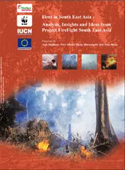 Fires in South East Asia: cover