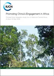 Promoting China’s Engagement in Africa