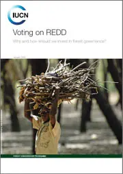 Voting on REDD - flyer