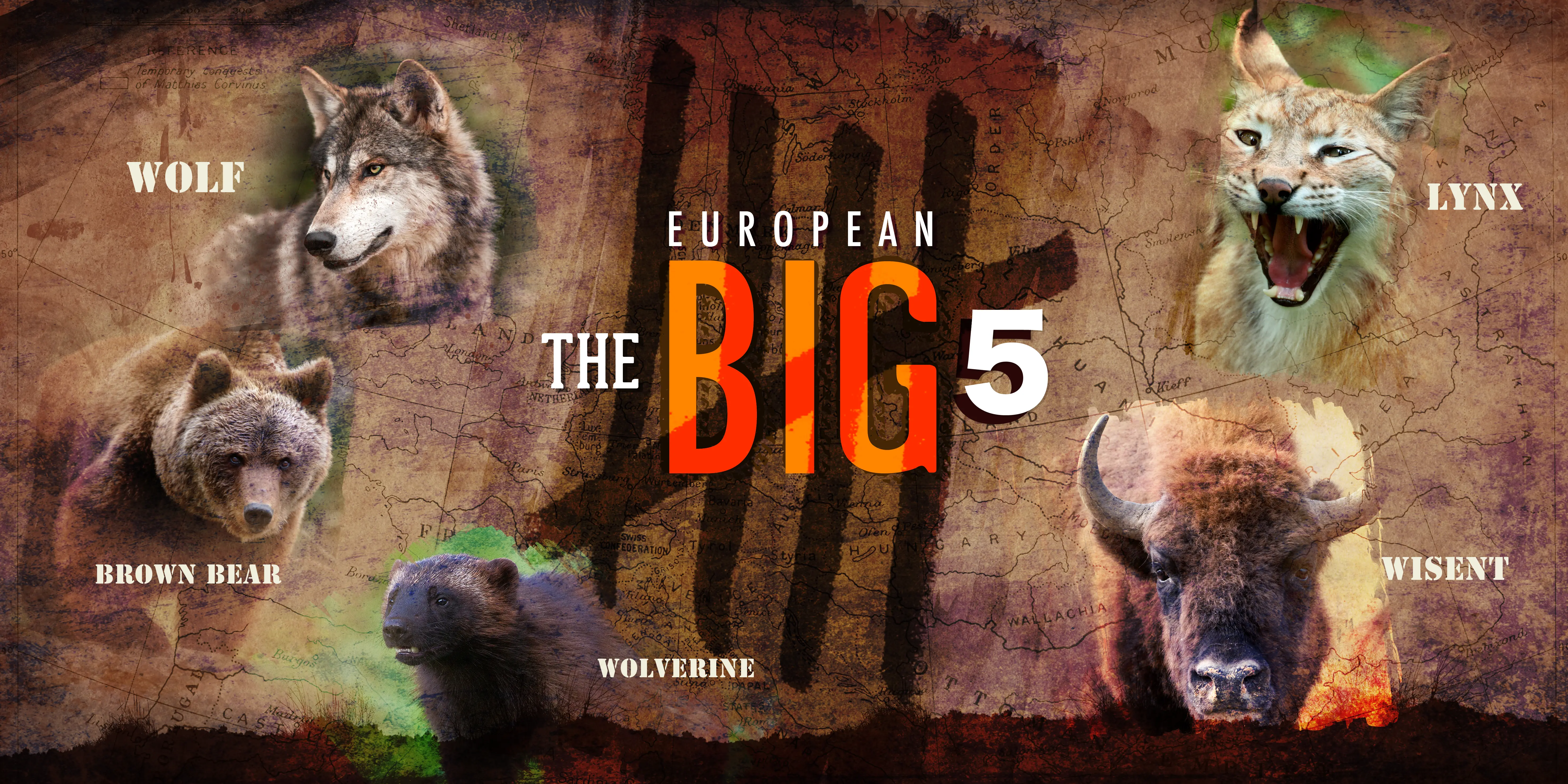 The Big Five of Europe