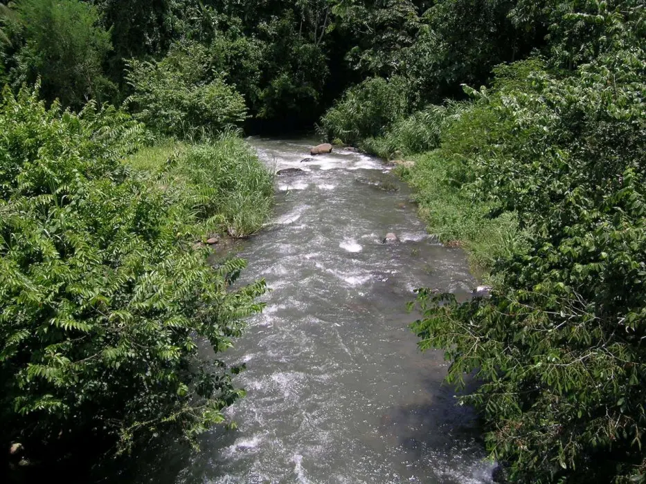 Parte media del río Cahoacán, Tapachula, México