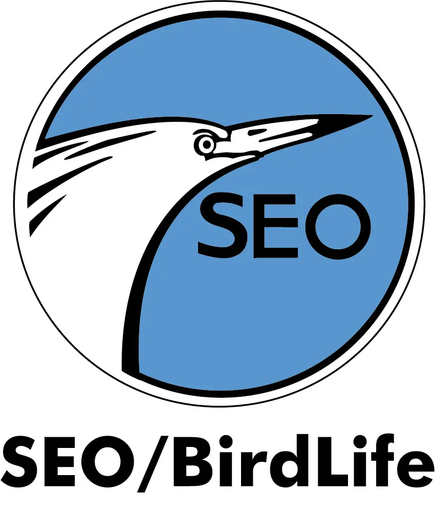 SEO - Birdlife