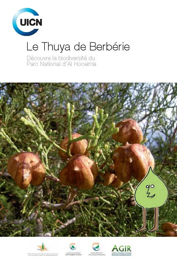 Le Thuya de Berbérie: Découvre la biodiversité du Parc National d'Al Hoceima