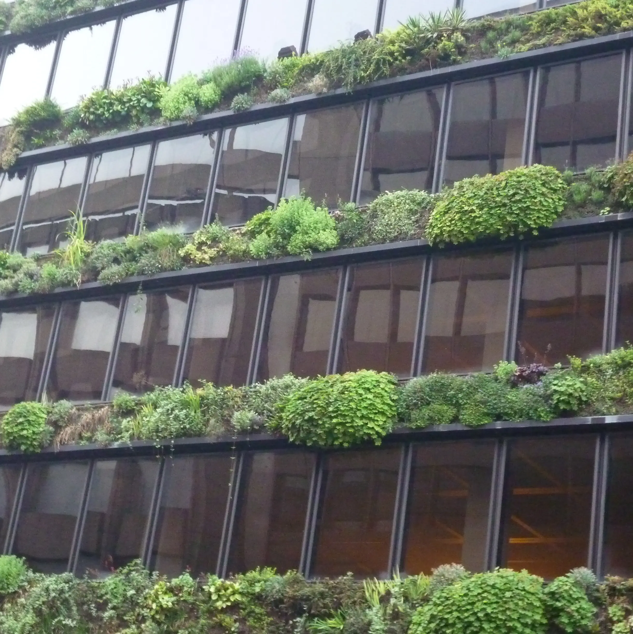 Green building, Brussels