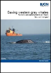 Saving western gray whales.Summary brochure on the conservation project for the critically endangered western gray whale population